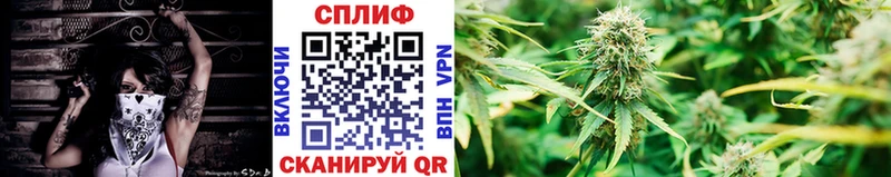 Шишки марихуана семена  Купить закладки  Южа 